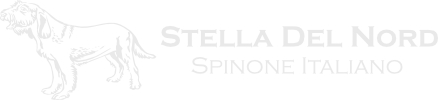 Stella Del Nord Spinone Logo