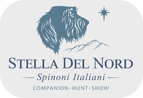 Stella Del Nord Spinone Logo